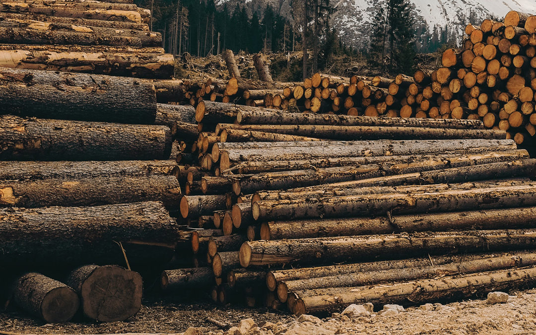 NAHB Spearheads Coalition Effort on Lumber